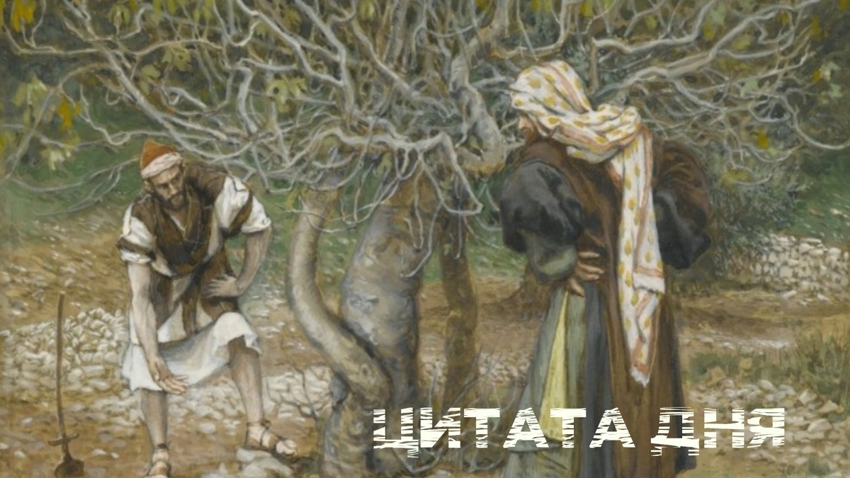 Иллюстрация: Джеймс Тиссо. «Винодел и смоковница».  Бруклинский музей.