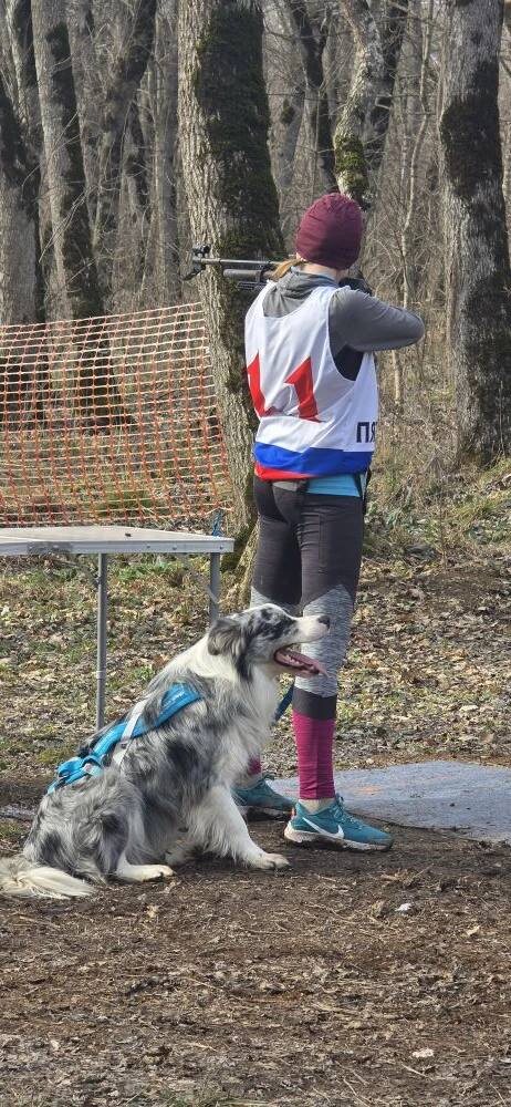 Фото: пресс-служба министерства спорта Ставропольского края