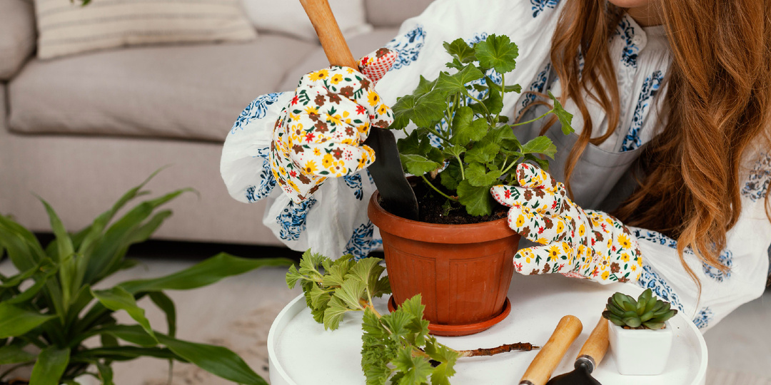 Пересадка цветов: почему магазинный грунт — это зло, и что с этим делать