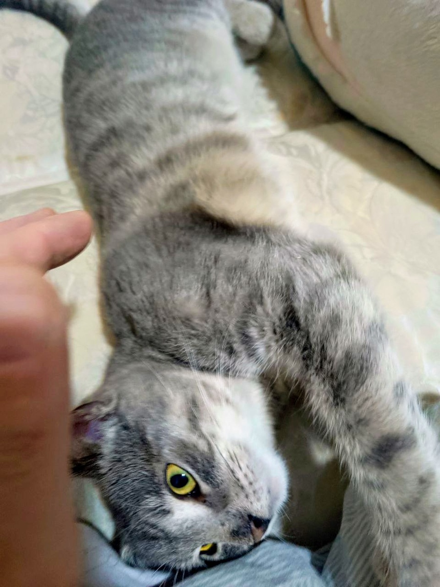 Он же там же