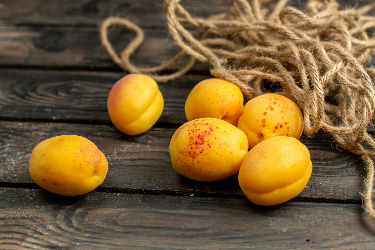 Из косточек абрикосов добывают чудесное масло