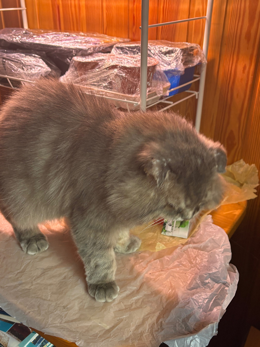 Понаставят тут не пойми чего!