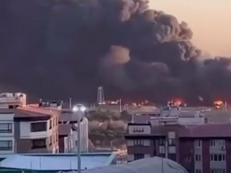     фото: скриншот с видео