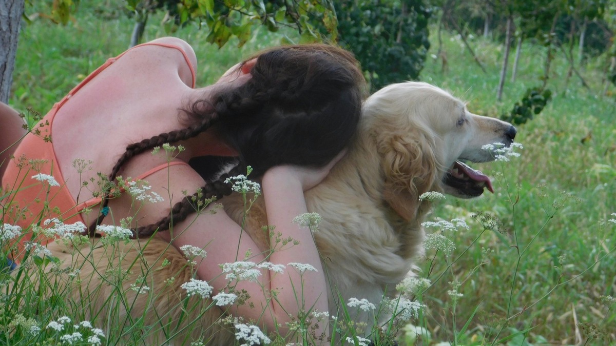    Фото несет иллюстративный характер