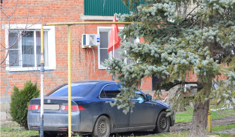 Фото автора. 01.03.2026. Первый календарный день весны в станице.
