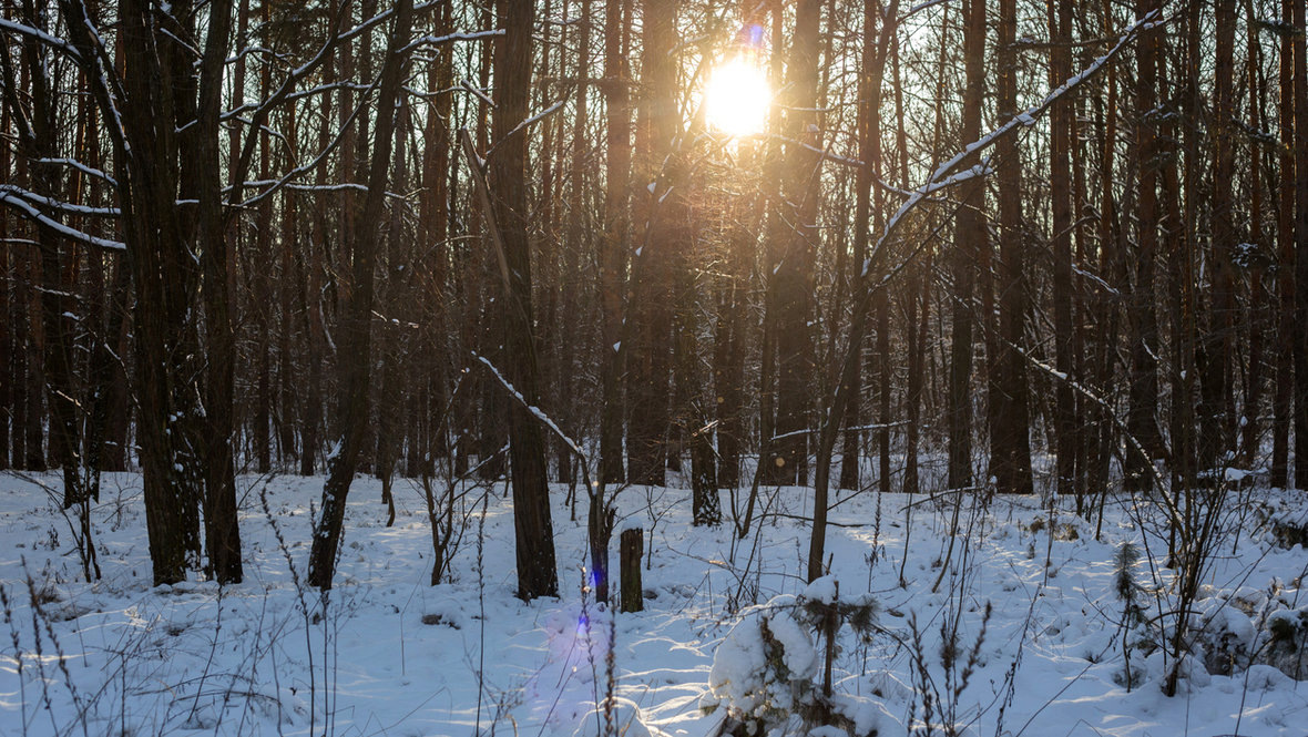    Nature's Essence iStock
