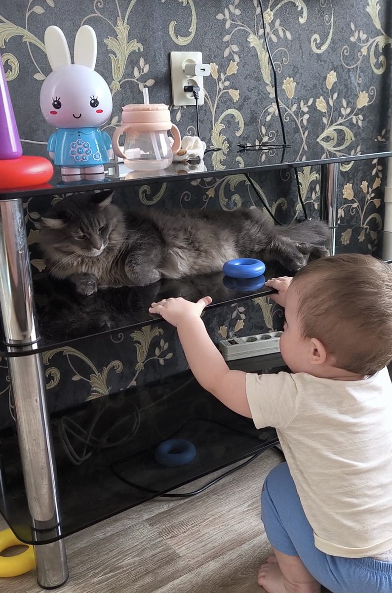 Фотографии в статье авторские. 