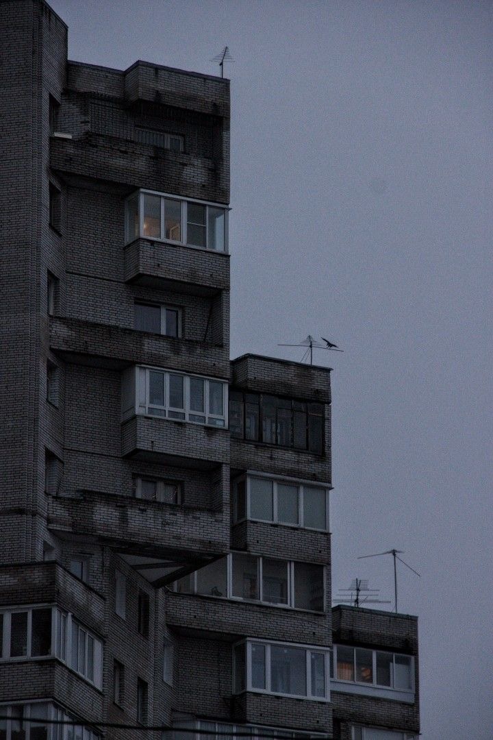 Серость дней