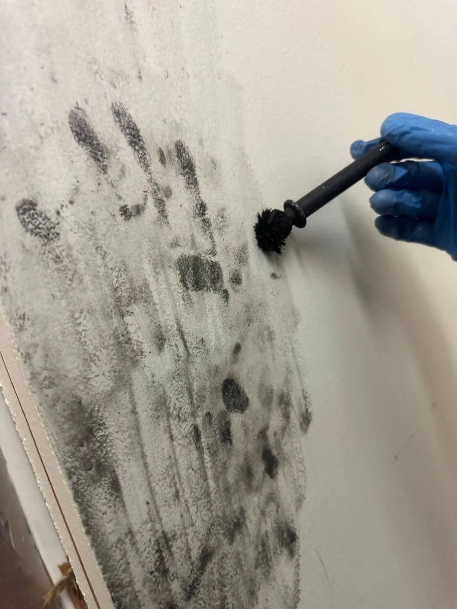    На стенах и полу были видны следы крови. Фото: СКР по Свердловской области