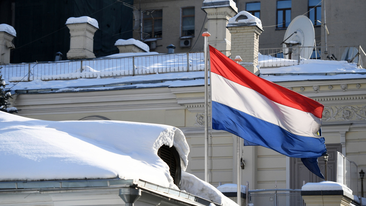    Москва посольство Нидерландов снег РИА