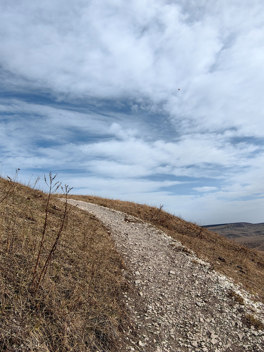 На фото мерендра трехстолбиковая и предположительно безвременник, тут мнения разошлись))