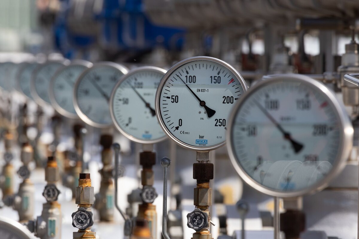     / Источник: © Global Look Press