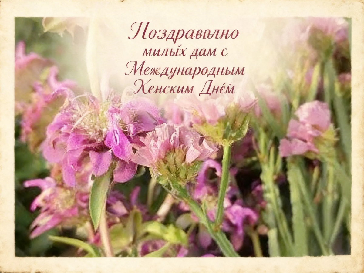 Я загрузила свою фотографию и попросила сделать открытку с надписью "Поздравляю милых дам с Международным Женским Днём" - как видите, с таким заданием он не смог справиться...