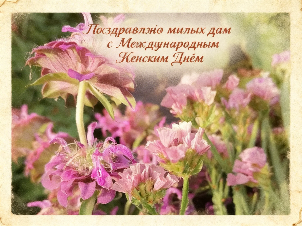 Подумав, что возможно это глюк, я задала то же задание ещё раз...И опять фиаско...