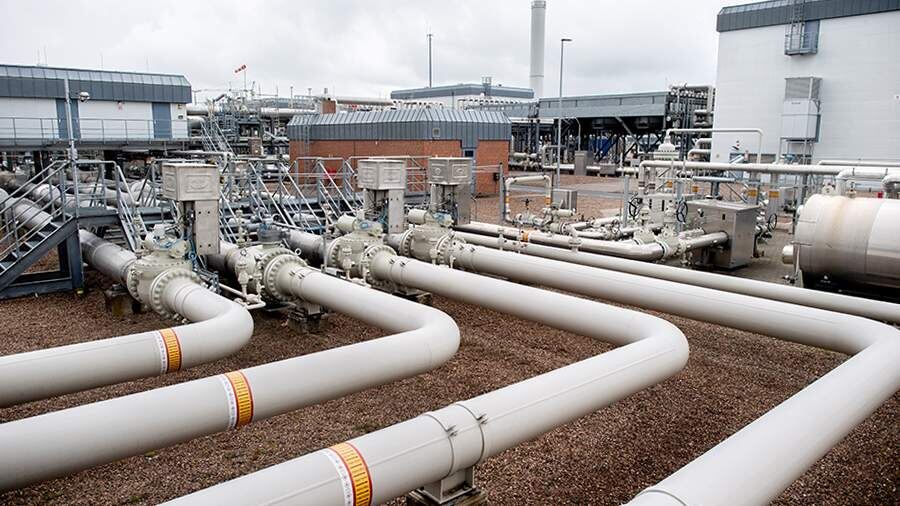    Фото: Global Look Press/Hauke-Christian Dittrich