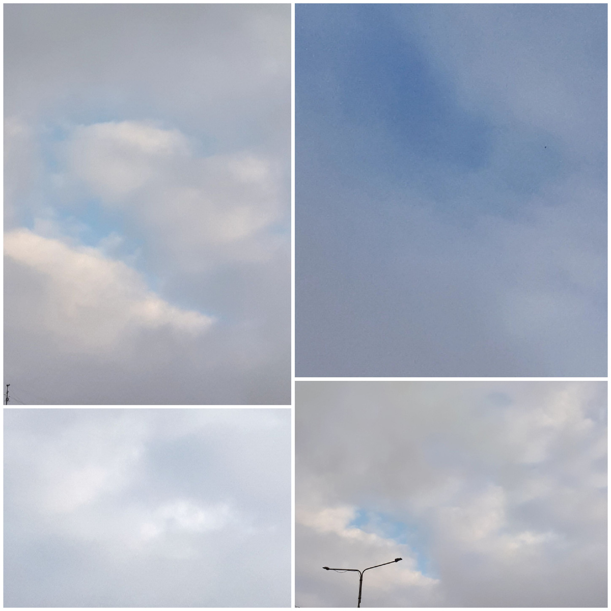 Коллаж автора 04.03.2026г.