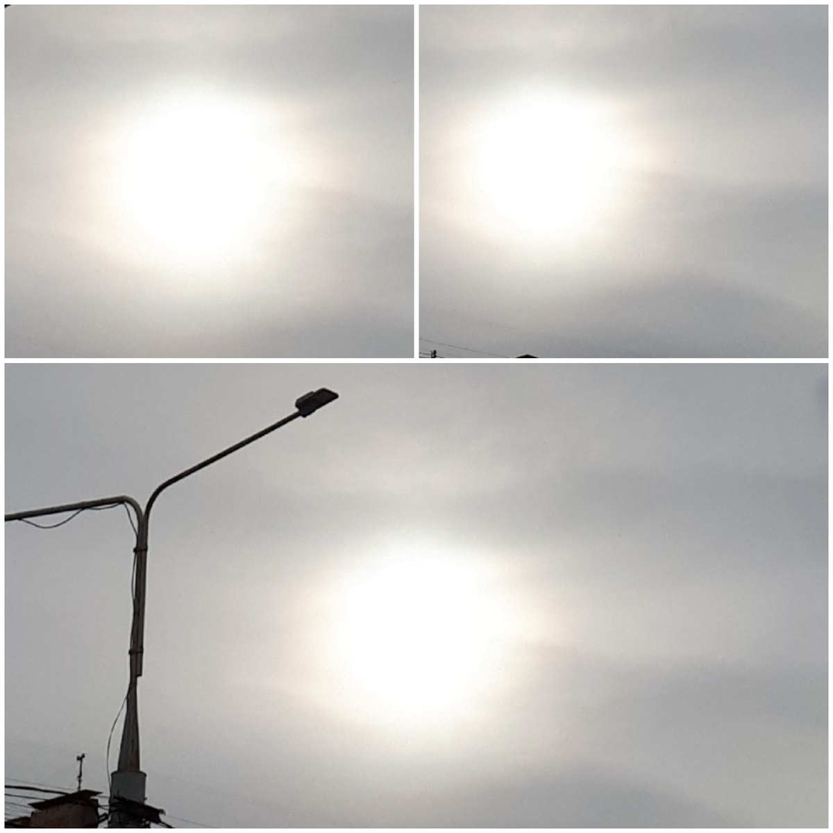 Коллаж автора 04.03.2026г.