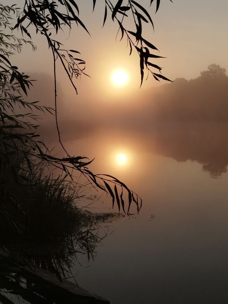 фото взято из открытого источника