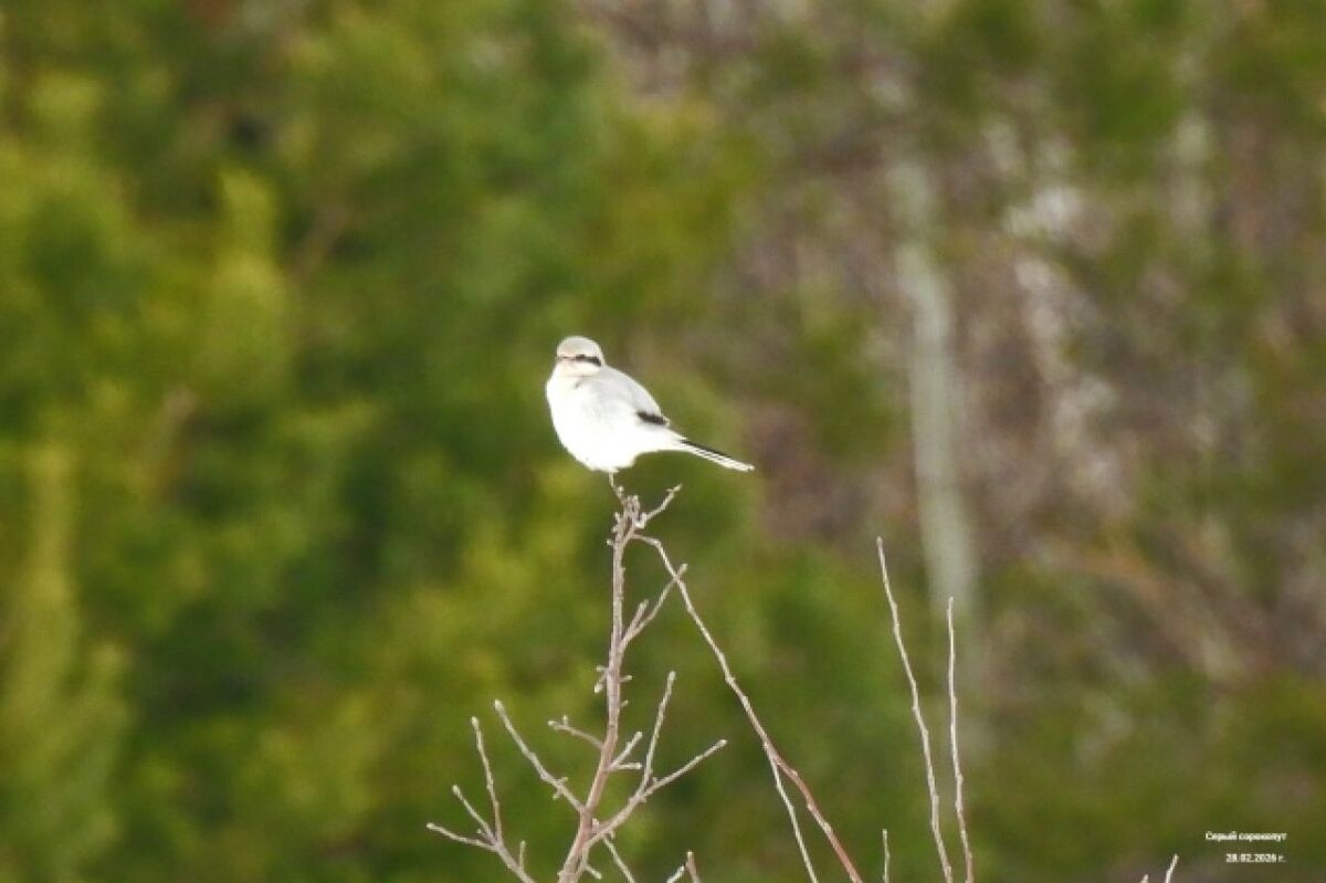    Фото: Анна Давыденко