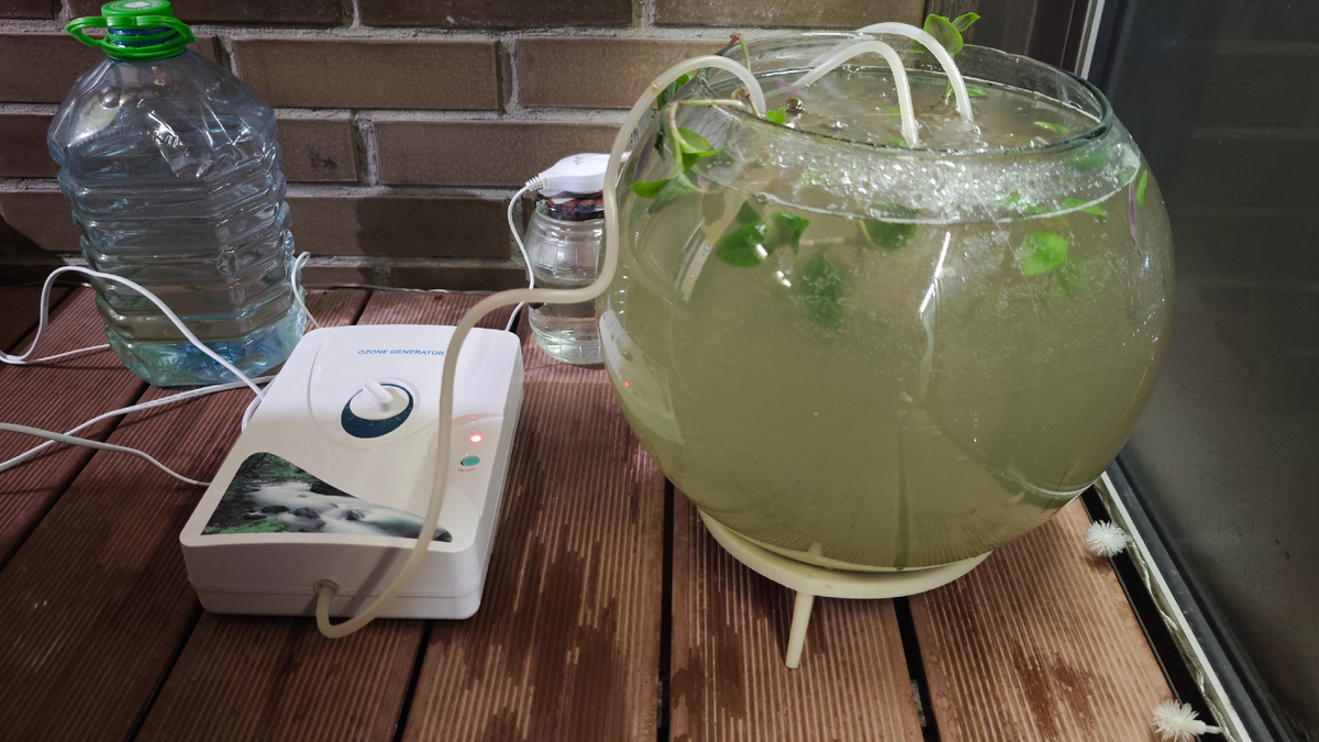 Мой лабораторный аквариум и озонатор