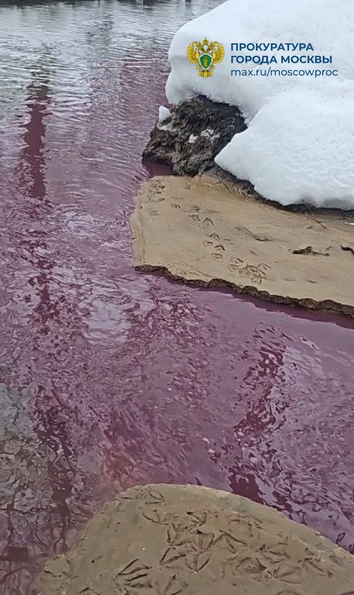    Река Сетунь в Москве окрасилась в красный из-за загрязнения