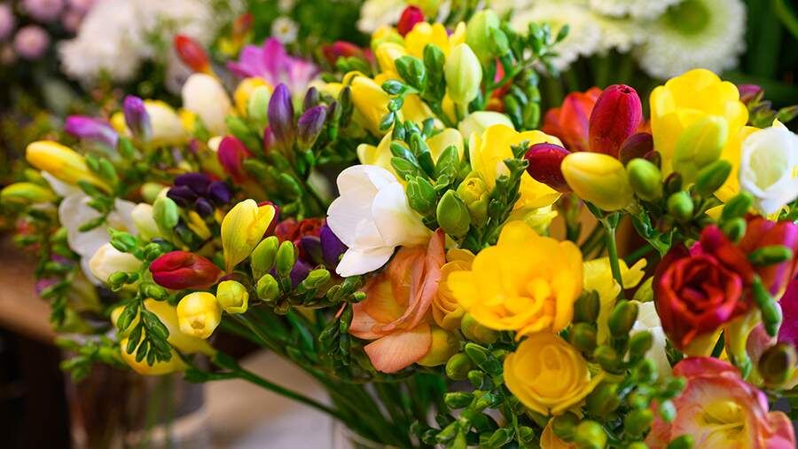    Фото: Global Look Press/Robert Michael