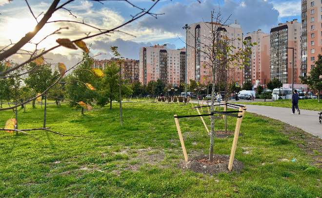    © Заневское городское поселение