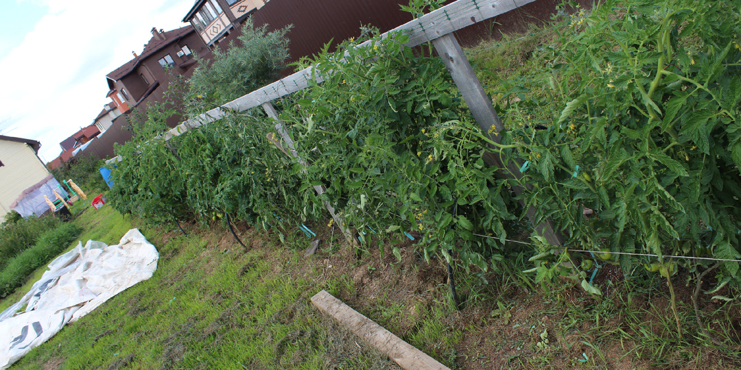 А стоит ли игра свеч?