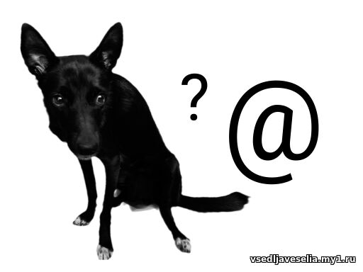 Моя Дусямбэ