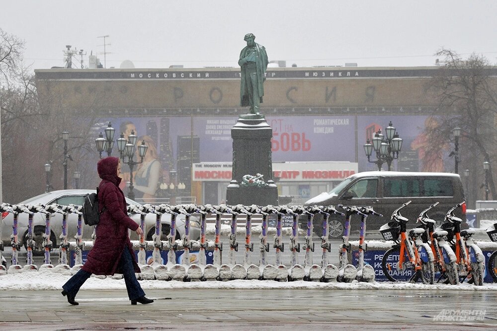    Фото: АиФ/ Эдуард Кудрявицкий