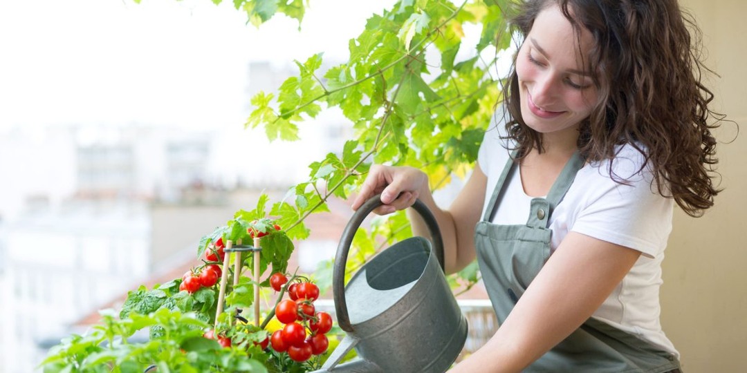Как оборудовать огород на балконе и получать урожай с весны до осени?