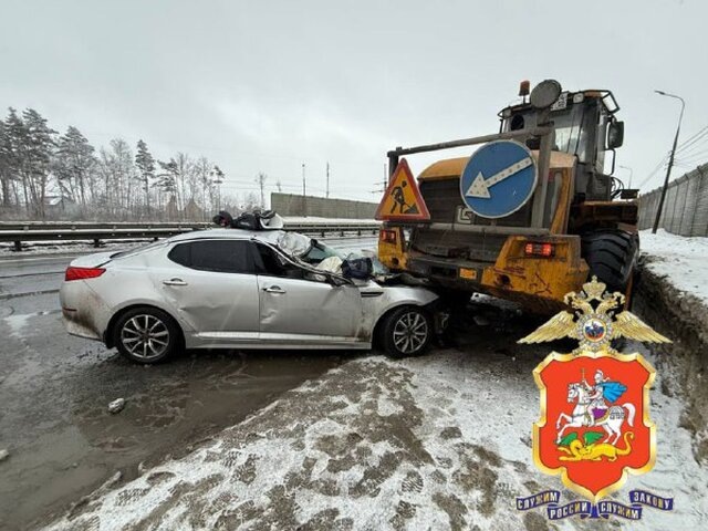    Фото: телеграм-канал "Подмосковная полиция"