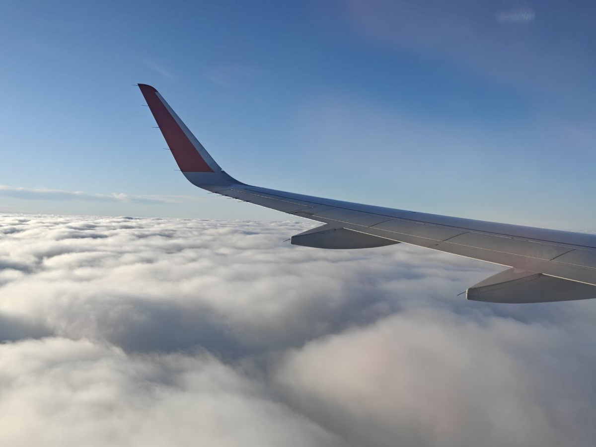    Фото: Юрий Серебренников/BFM Кубань