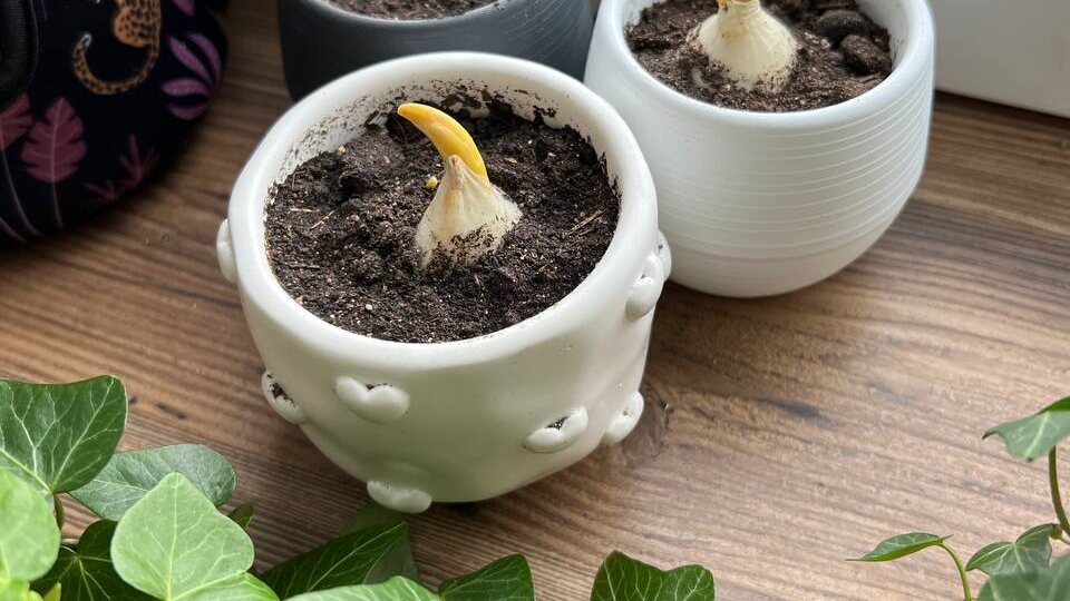 ТОП-5 бюджетных идей для уюта своими руками. Или когда декретный бюджет не резиновый