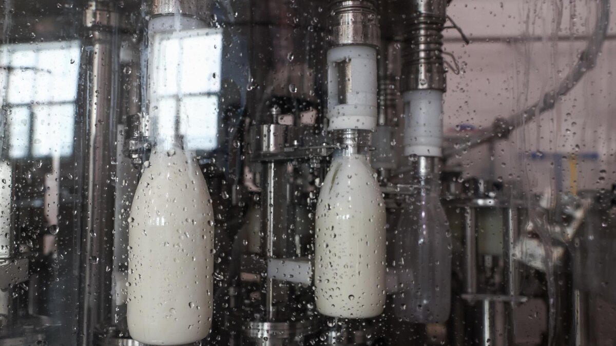    Фото: Shatokhina Natalia/news.ru