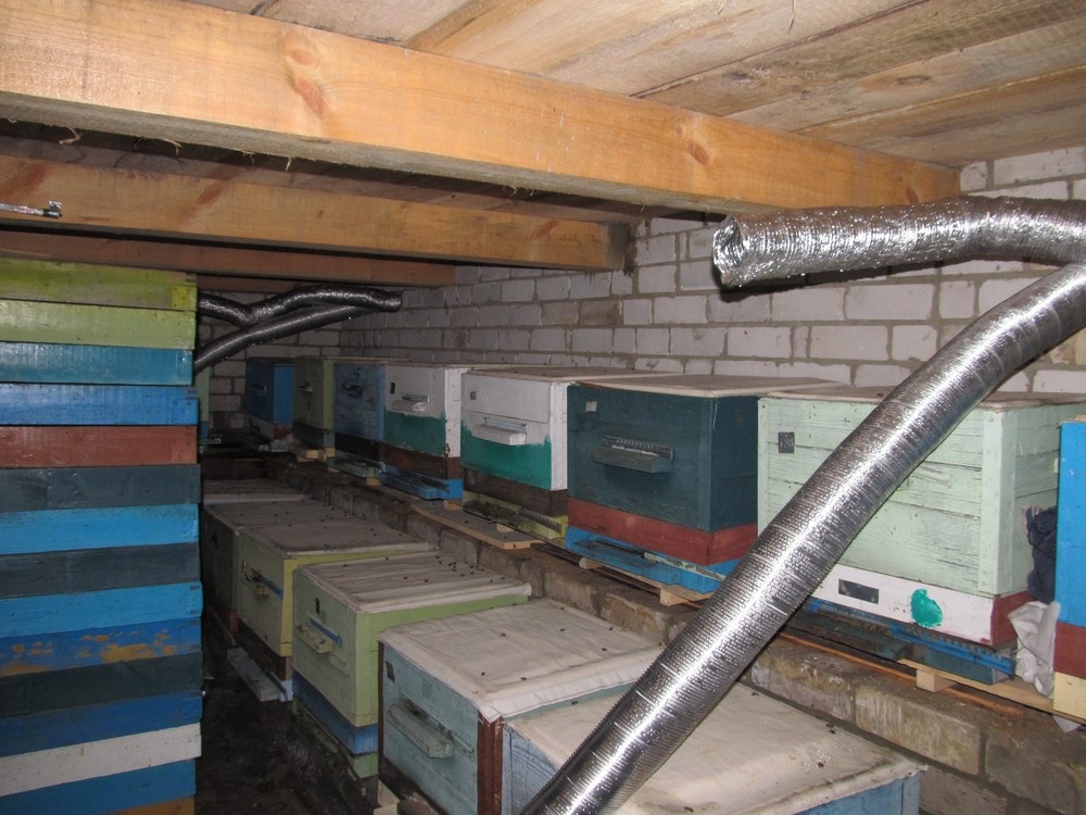 Вытяжки в зимовнике.