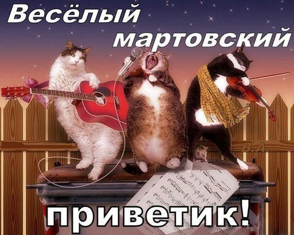 Смешные мемы с котиками