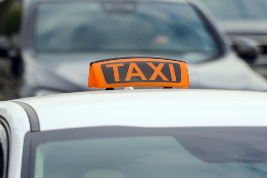    Наталья Шатохина/NEWS.ru