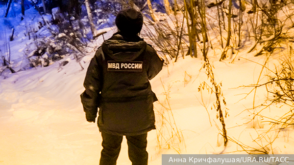     Фото: Анна Кричфалушая/URA.RU/ТАСС   
 Текст: Андрей Резчиков