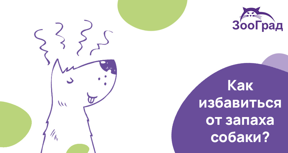 Да, не все собаки пахнут "собаками"