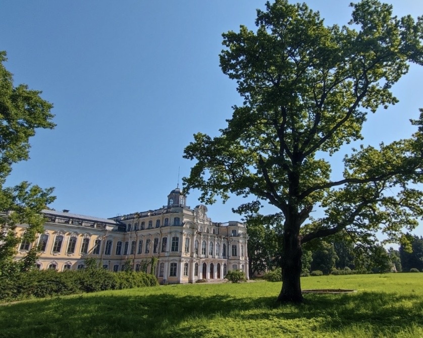 Источник: pexels.com