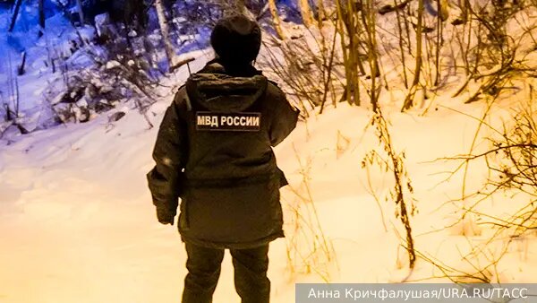    Источник: vz.ru/  Кристина Минаева