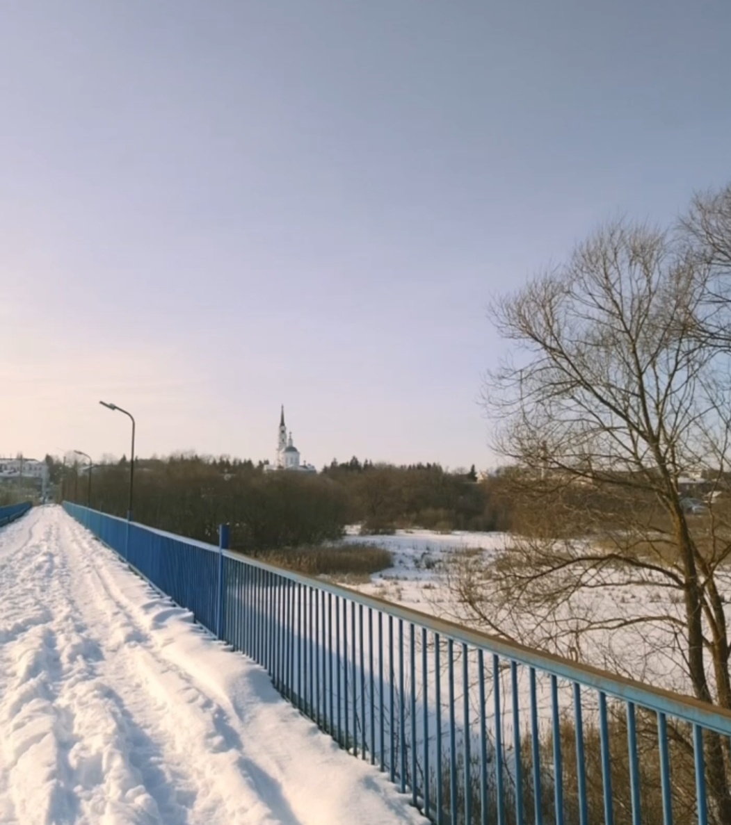 Вид на город с пешеходного моста через реку Сейм 