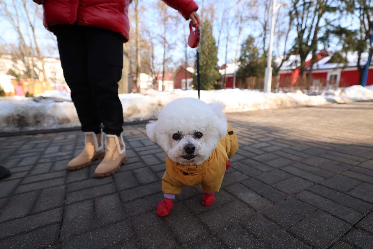  © Павел Орловский, Times.by