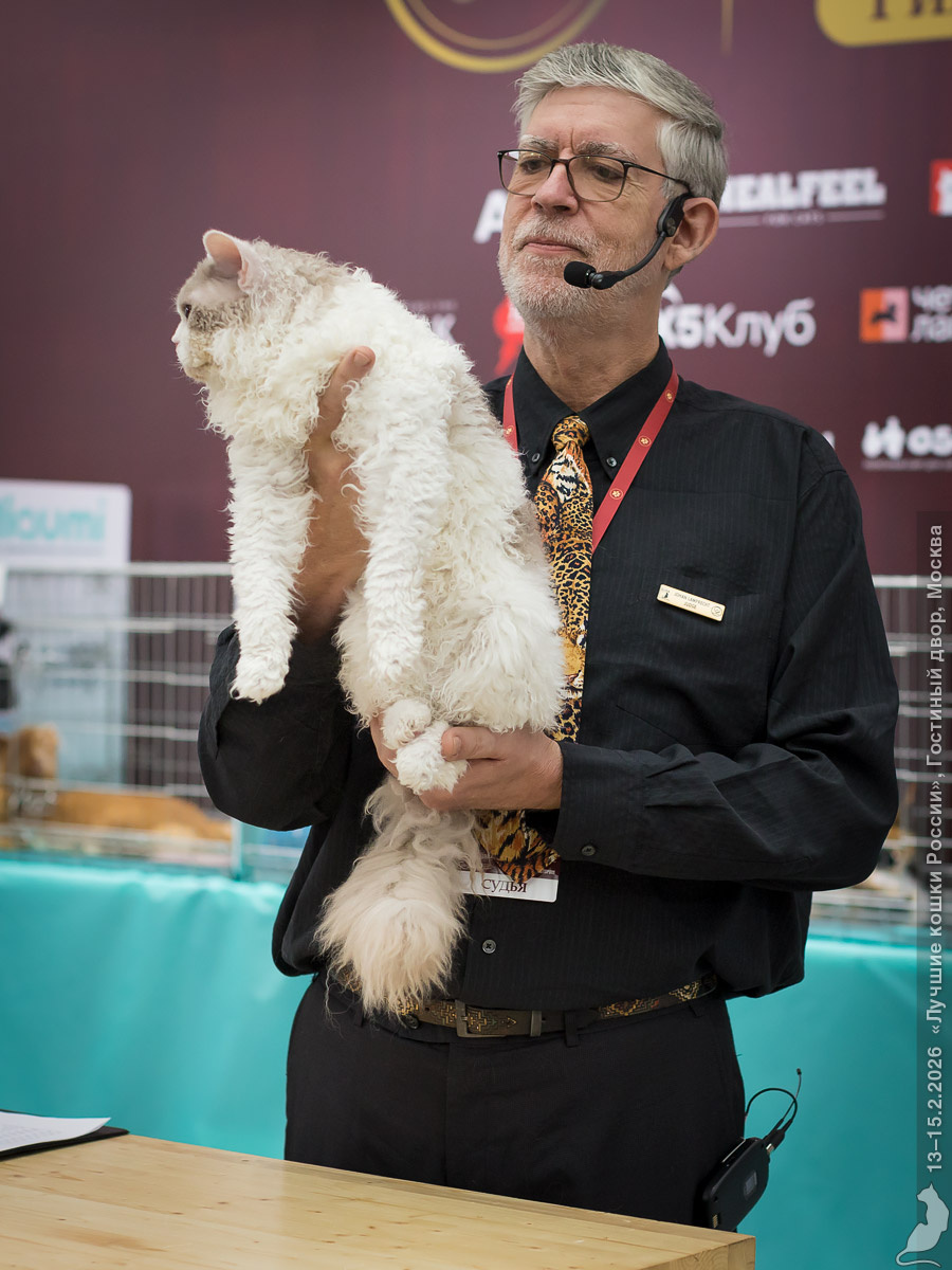 Судья Йохан Лампрехт и селкирк-рекс Зефир