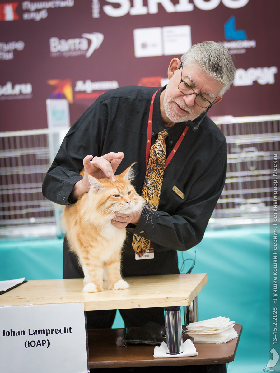 Судья Йохан Лапрехт за экспертизой