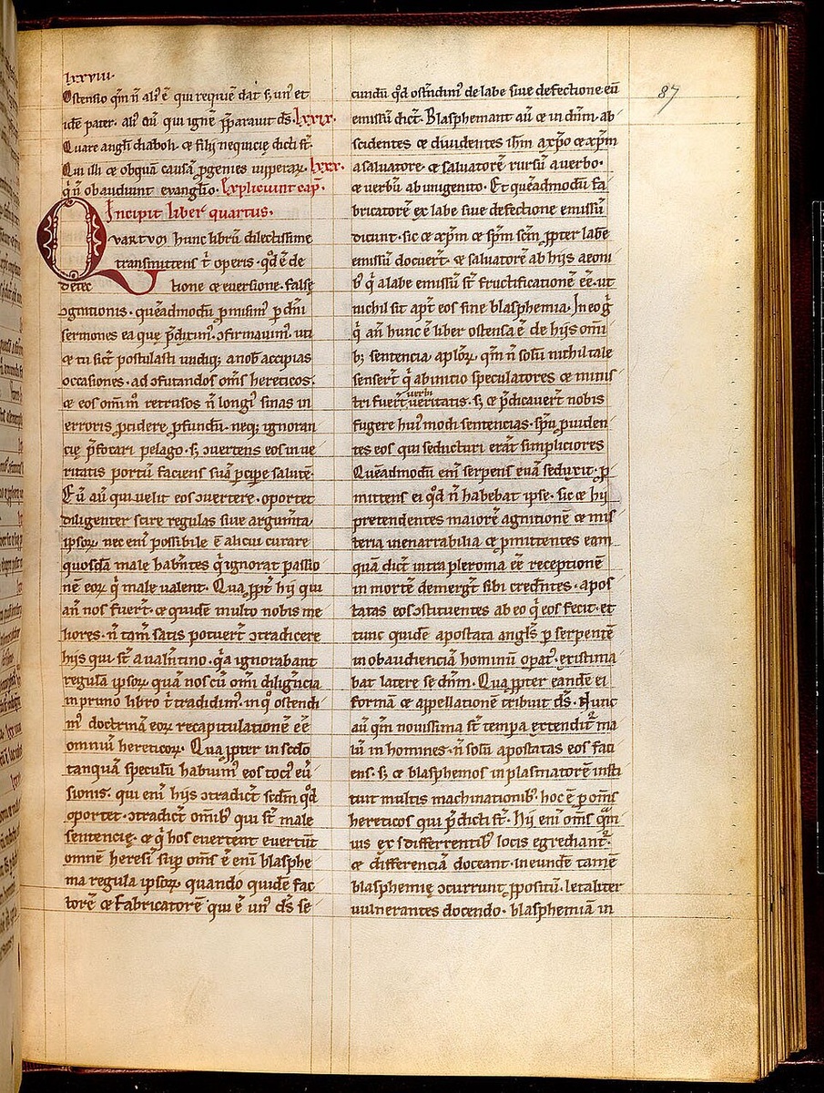 Источник: https://ru.wikipedia.org/wiki/Файл:Adversus_haereses.jpg