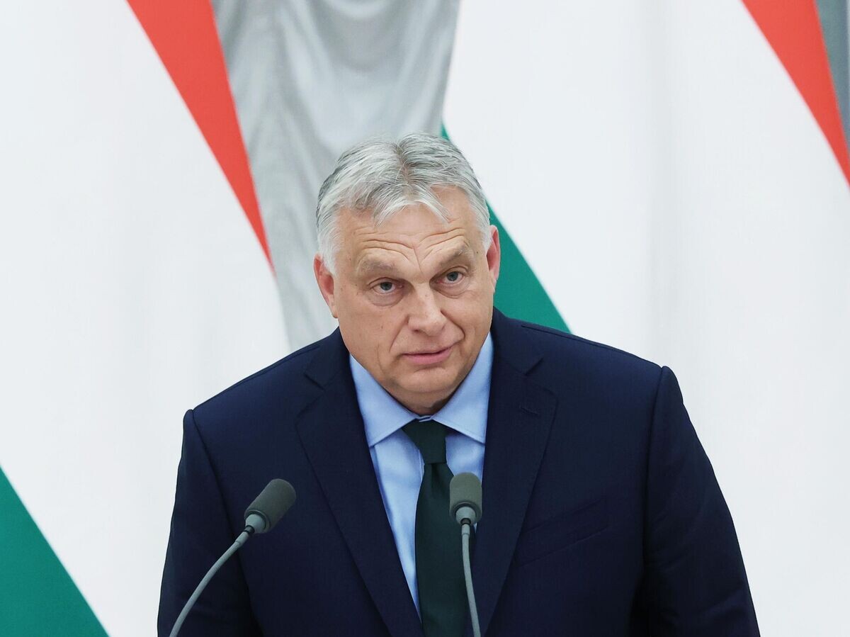    Президент РФ Владимир Путин встретился с премьер-министром Венгрии В. Орбаном© POOL