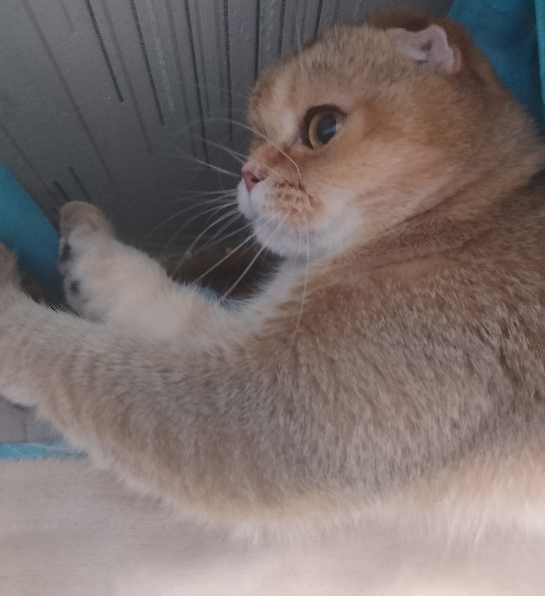 Чо, опять отпуск?! Нет, не надо, только не это! Не пу-щу! 