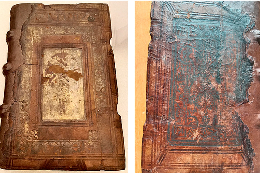    Скриншот: Slavistica Vilnensis